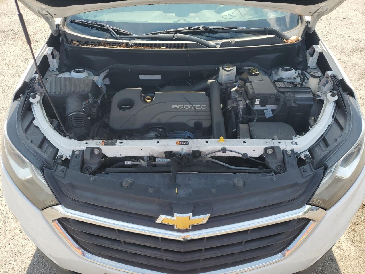 2018 Chevrolet Equinox Ls VIN: 2GNAXHEV9J6229358 Lot: 56811554