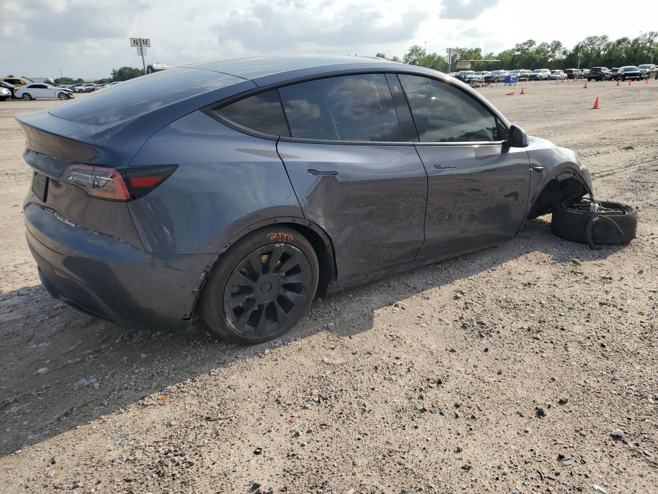 2023 Tesla Model Y VIN: 7SAYGDEEXPA093549 Lot: 53392264