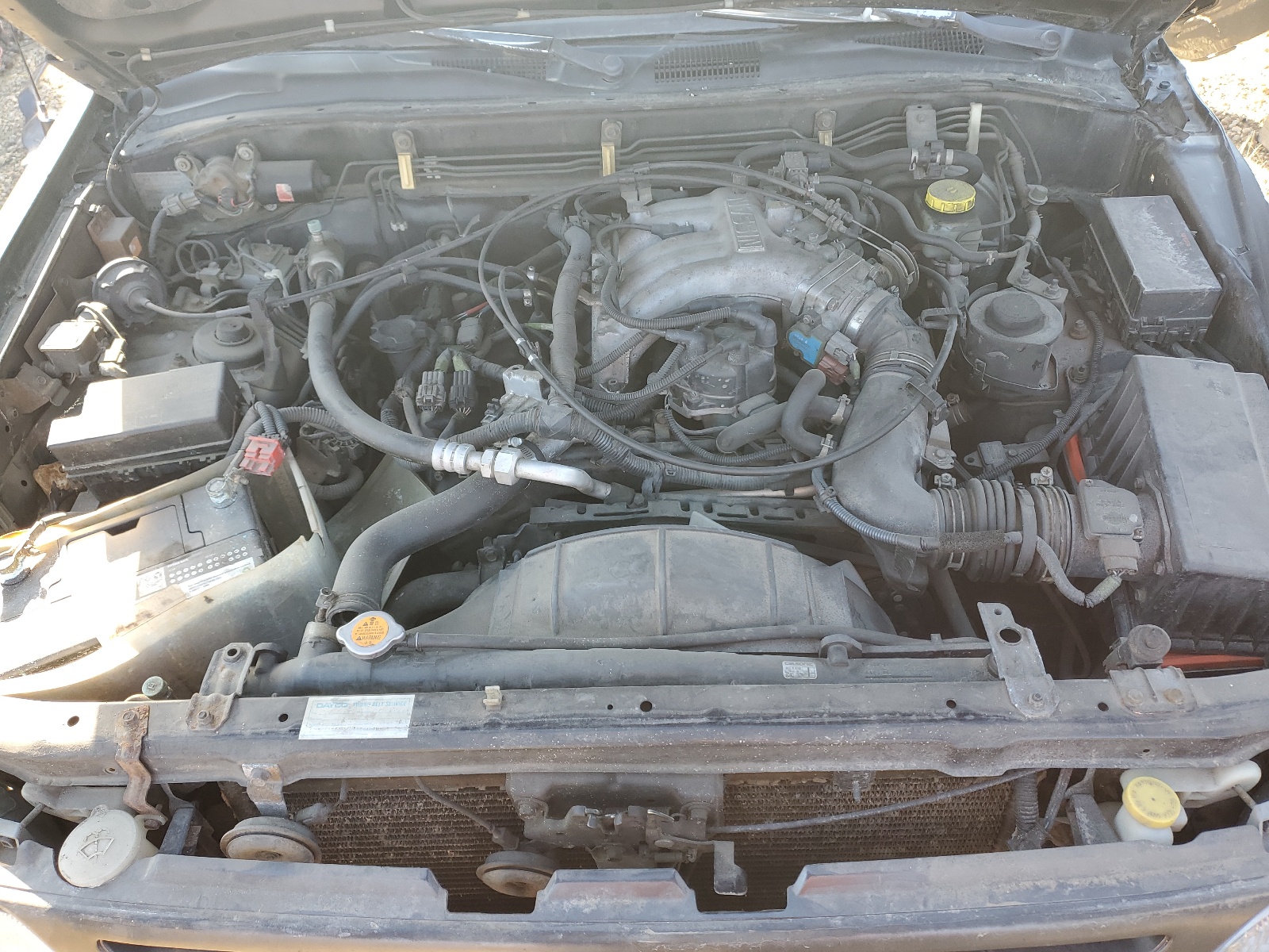 JN8AR05Y5XW300203 1999 Nissan Pathfinder Le