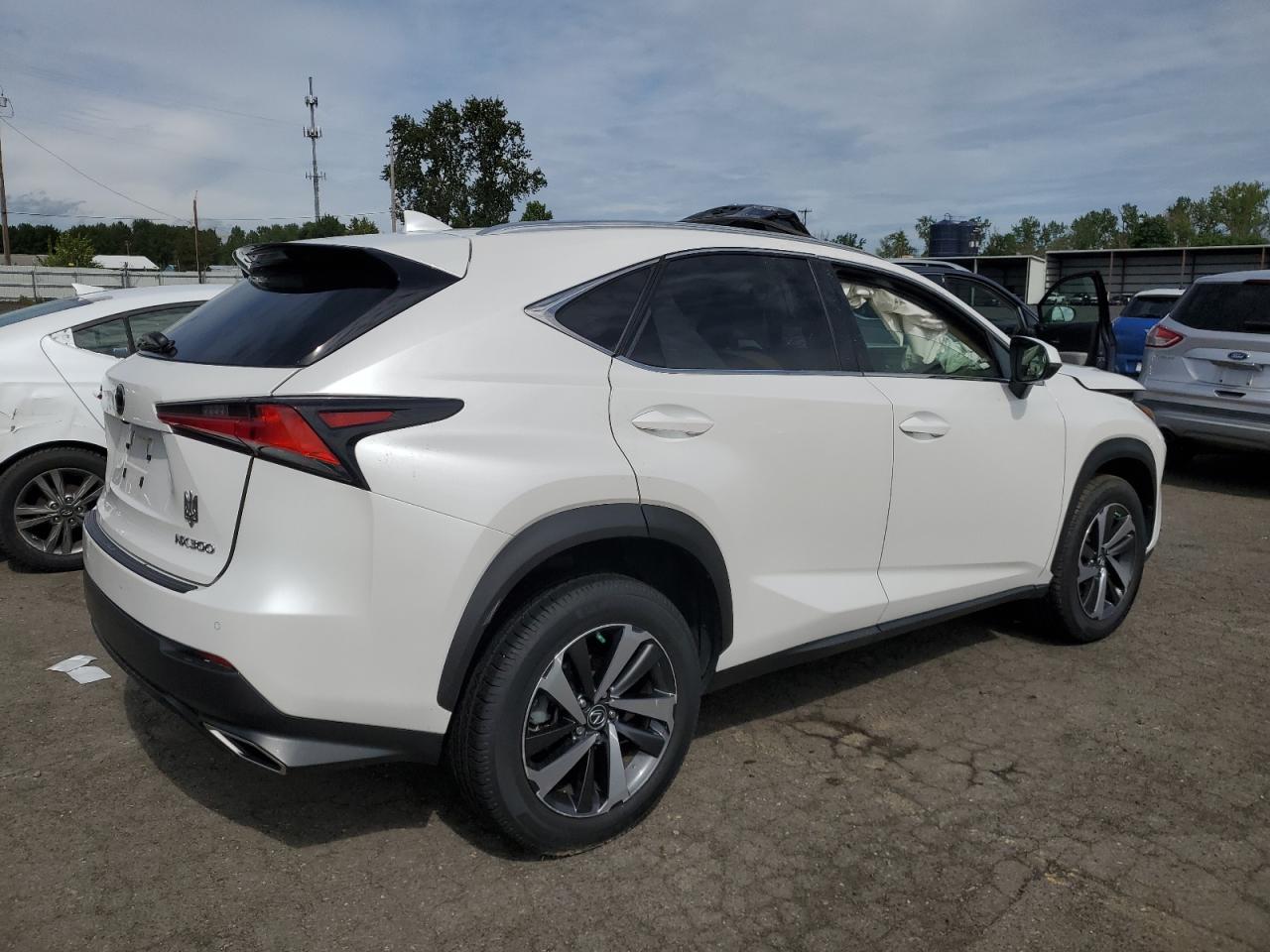 2019 Lexus Nx 300 Base VIN: JTJYARBZ3K2136661 Lot: 53520464