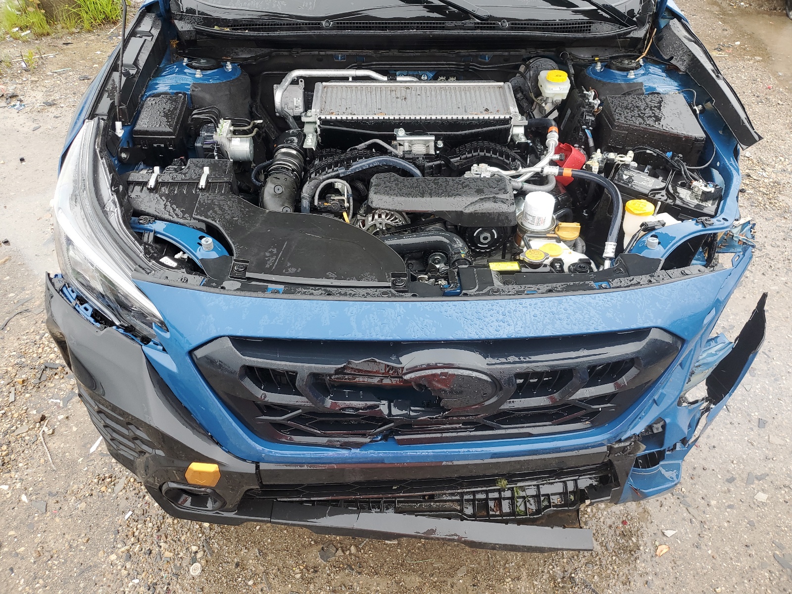 4S4BTGUDXR3129277 2024 Subaru Outback Wilderness