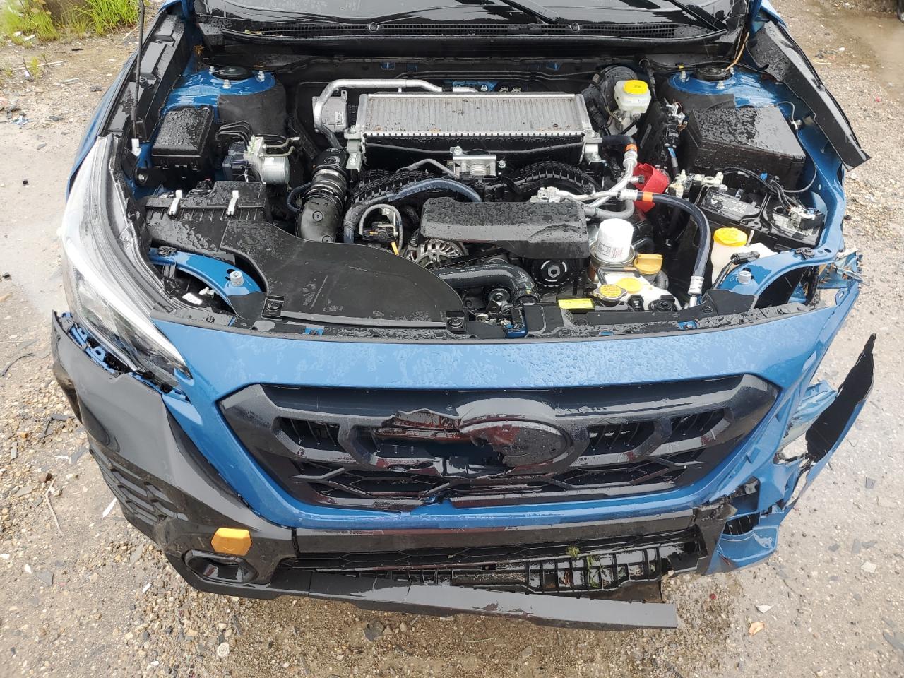 2024 Subaru Outback Wilderness VIN: 4S4BTGUDXR3129277 Lot: 54647914