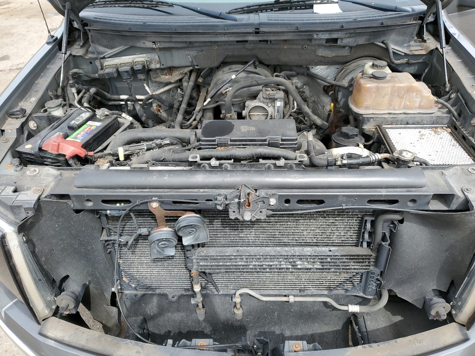 1FTRW14869FA29928 2009 Ford F150 Supercrew