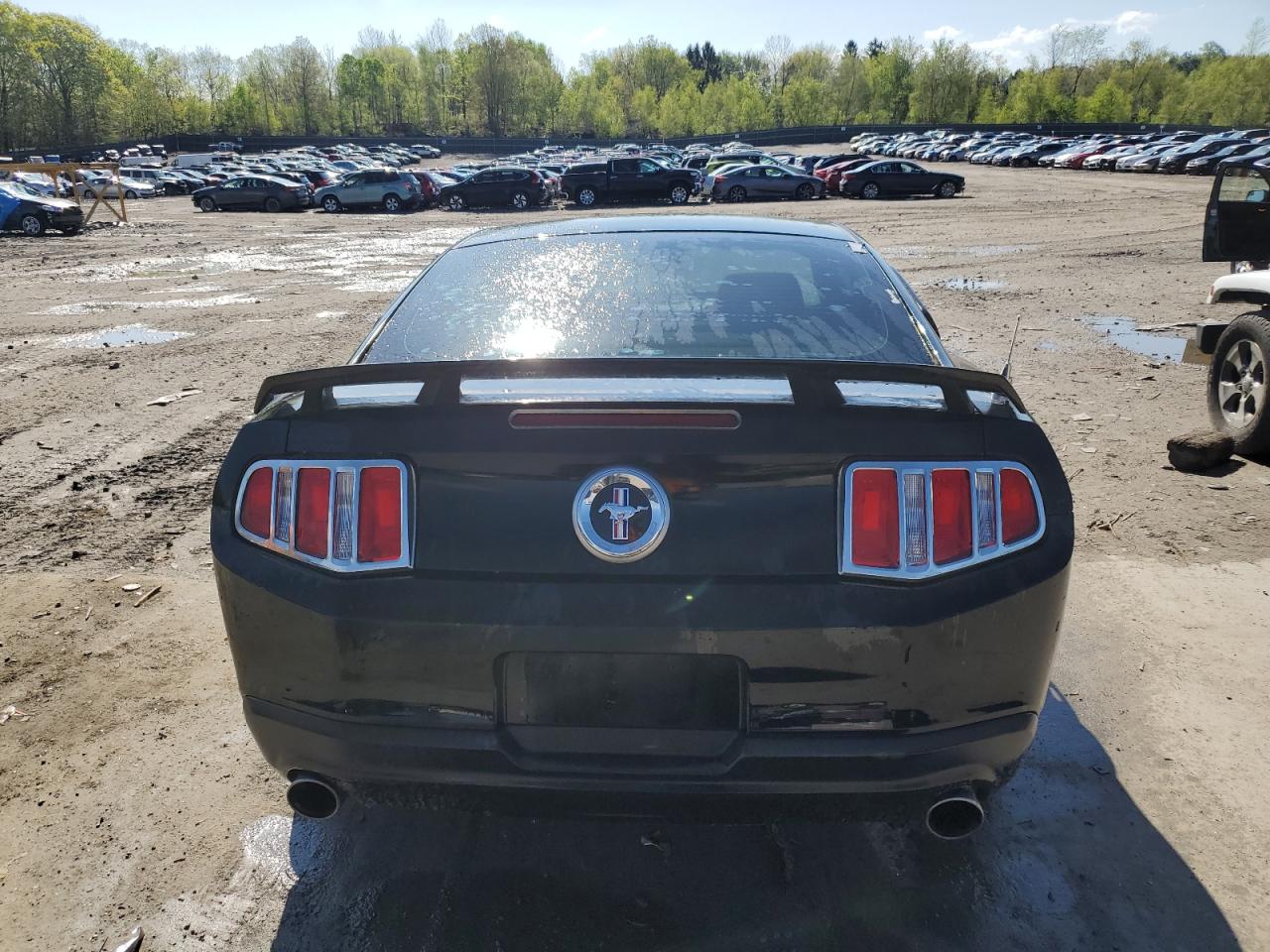 2011 Ford Mustang VIN: 1ZVBP8AMXB5108522 Lot: 52855104