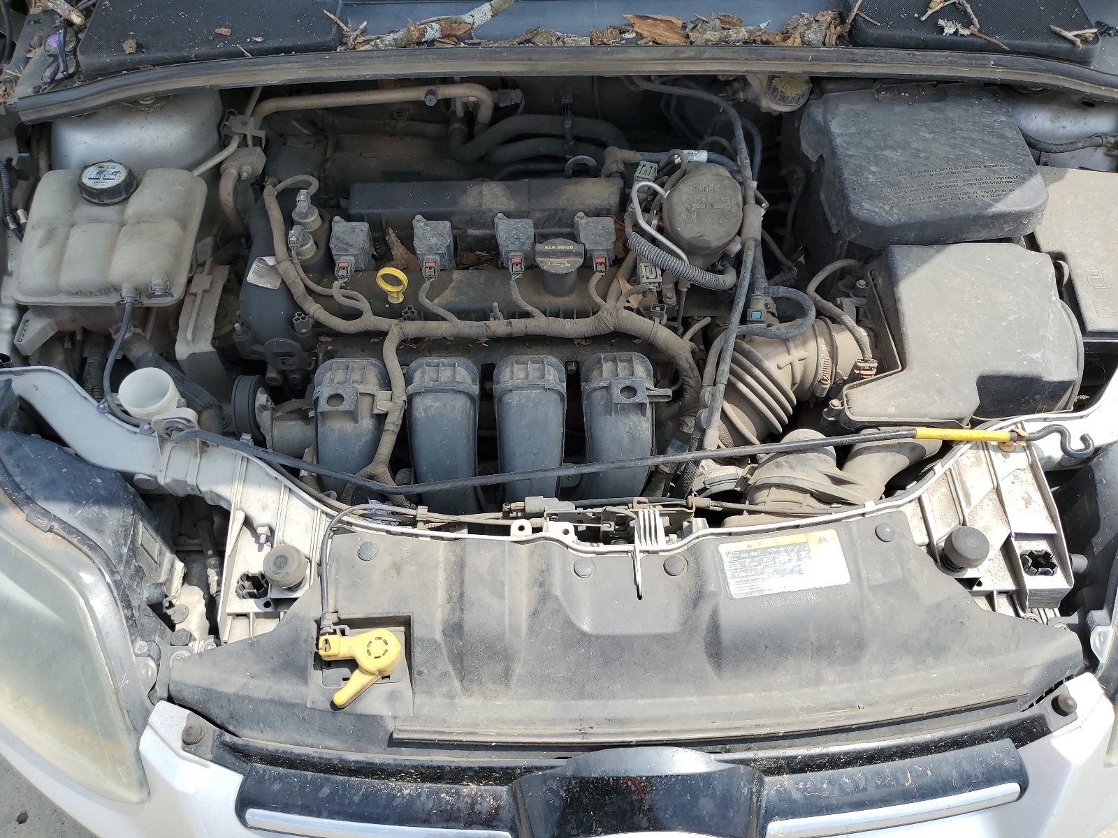 1FADP3N23DL163213 2013 Ford Focus Titanium