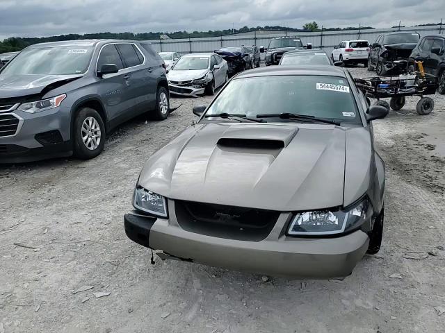 2002 Ford Mustang Gt VIN: 1FAFP42X62F213144 Lot: 54445574