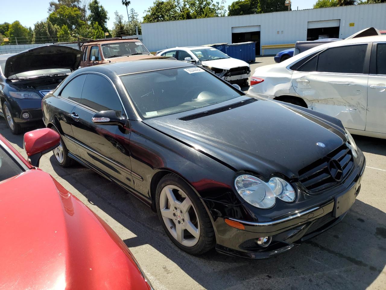 2009 Mercedes-Benz Clk 350 VIN: WDBTJ56H59F264117 Lot: 55544484