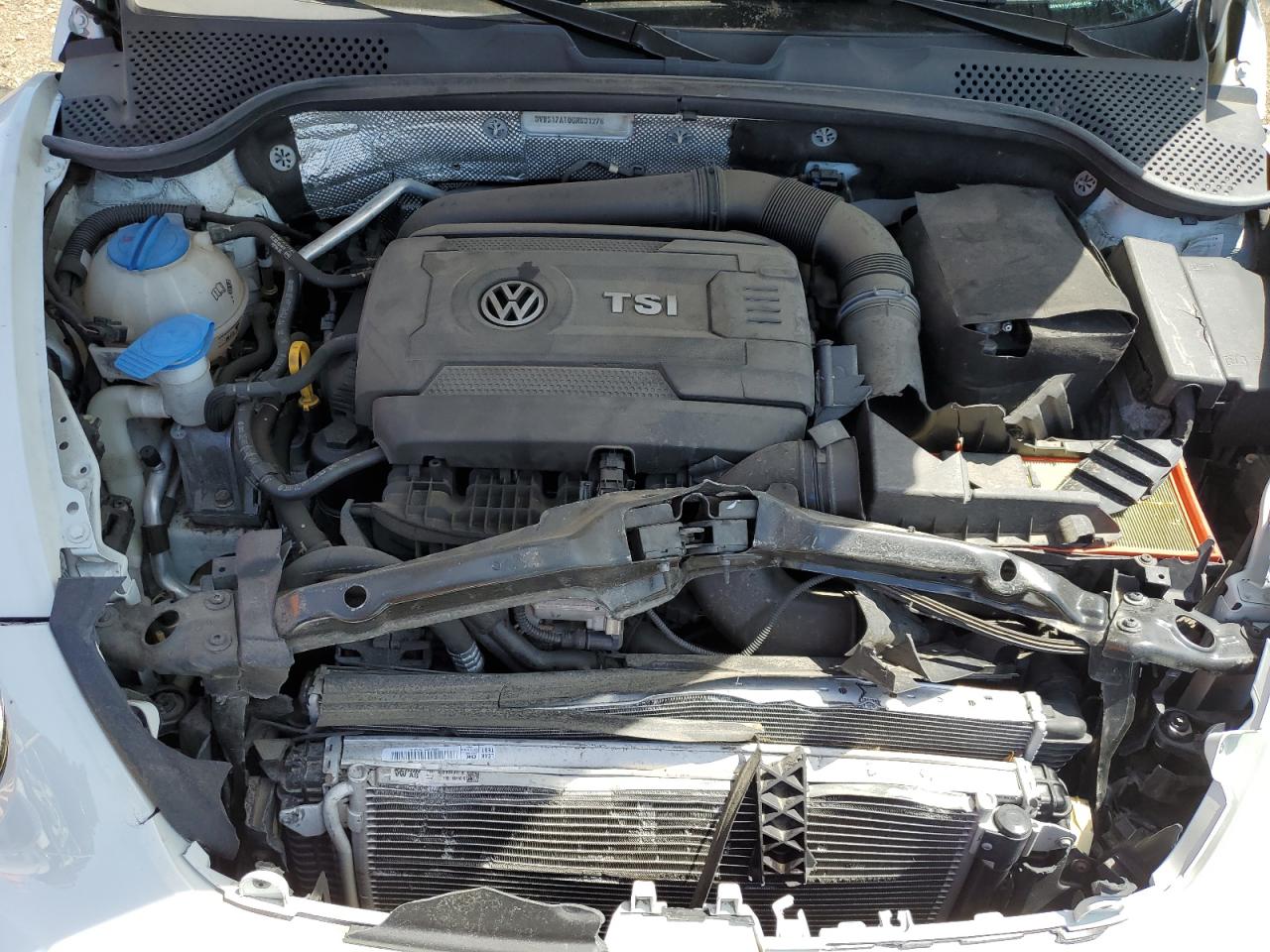 3VWS17AT0GM631276 2016 Volkswagen Beetle Dune