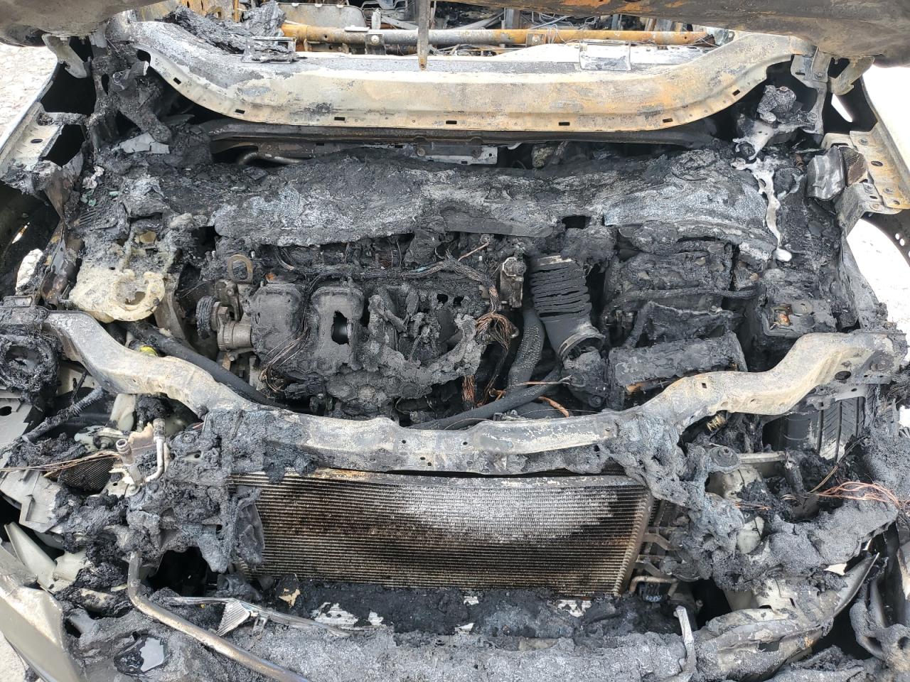 2013 Ford Escape Sel VIN: 1FMCU0H92DUB31137 Lot: 54846744