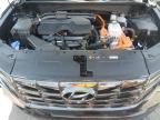 Orlando, FL에서 판매 중인 2024 Hyundai Tucson Limited - Side
