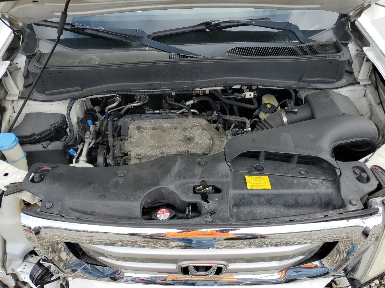 2009 Honda Pilot Ex VIN: 5FNYF38449B005730 Lot: 55541544