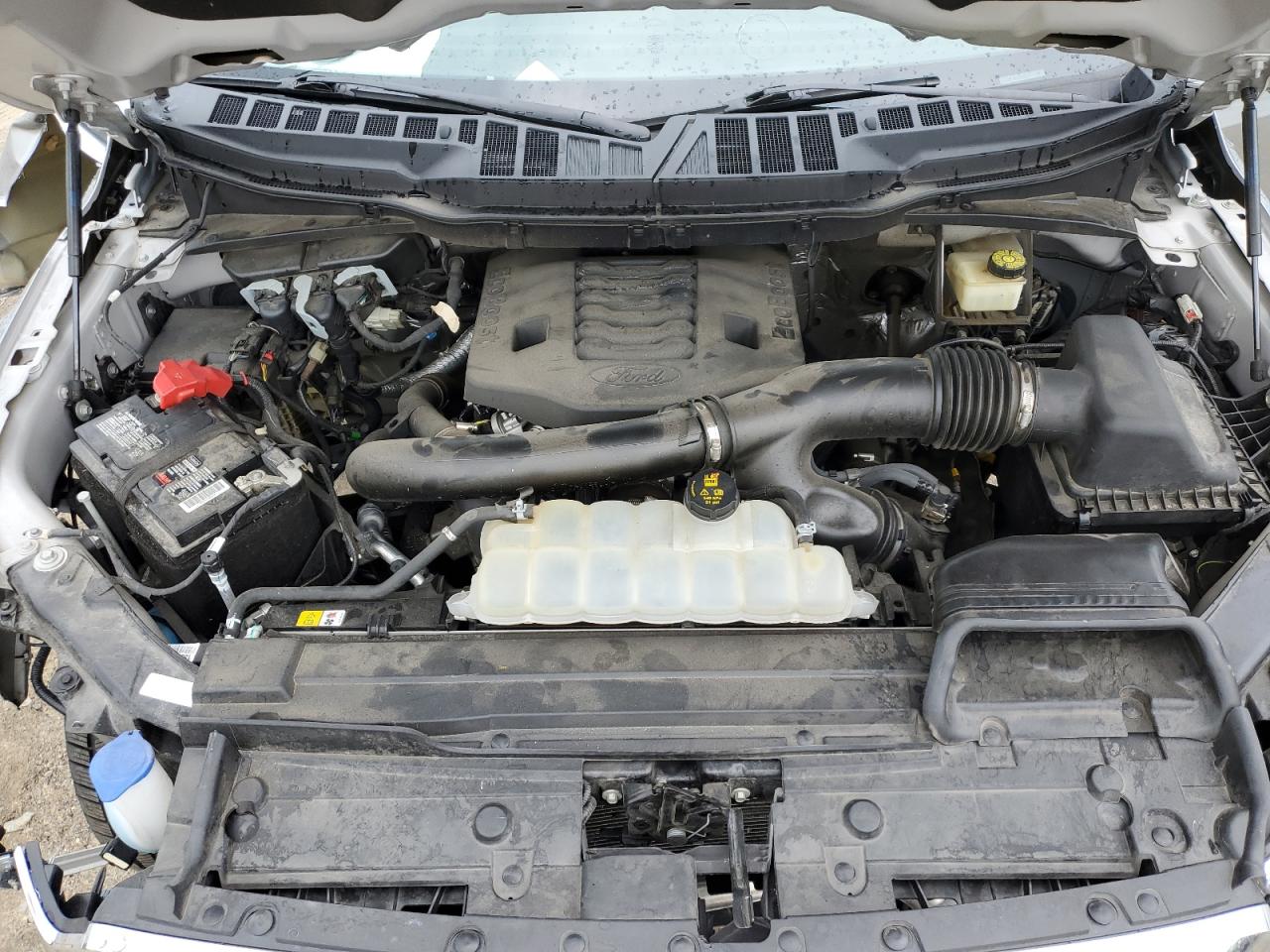 2022 Ford F150 Supercrew VIN: 1FTFW1E8XNKD92963 Lot: 56260764