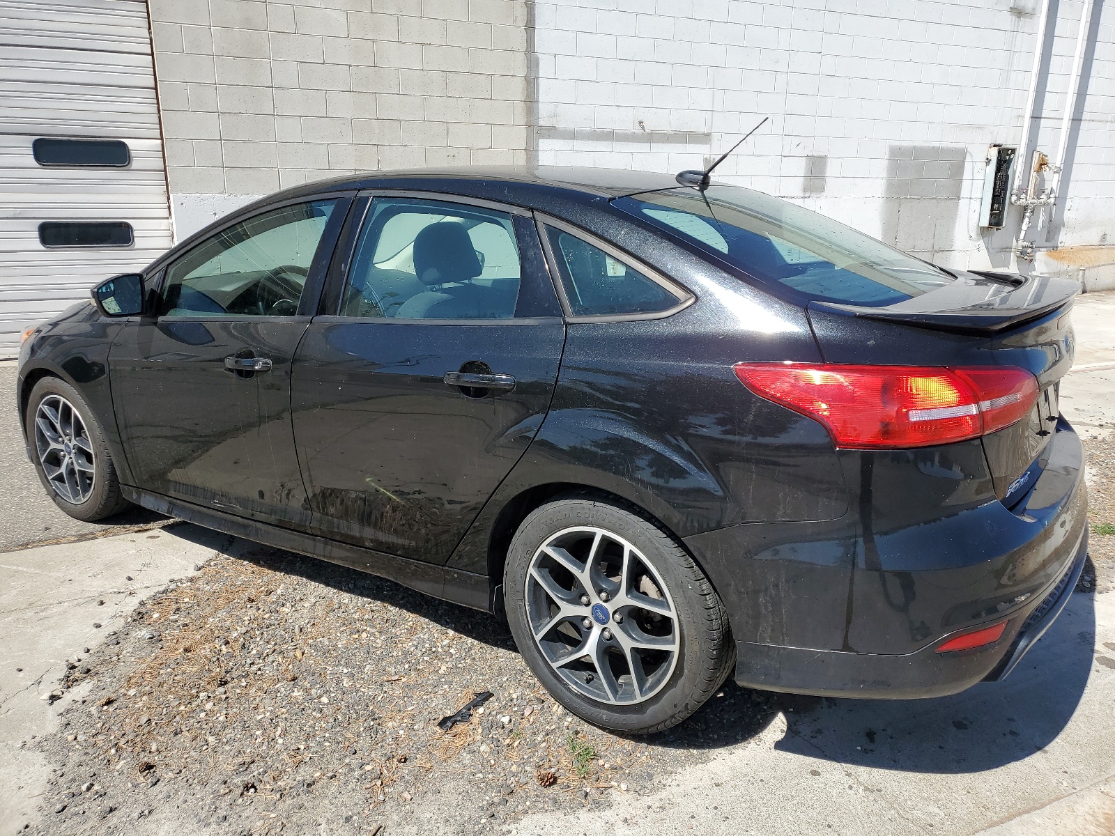 2015 Ford Focus Se vin: 1FADP3F20FL249144