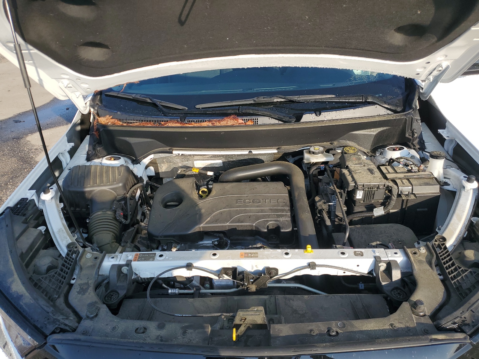 3GKALMEG4PL111001 2023 GMC Terrain Sle