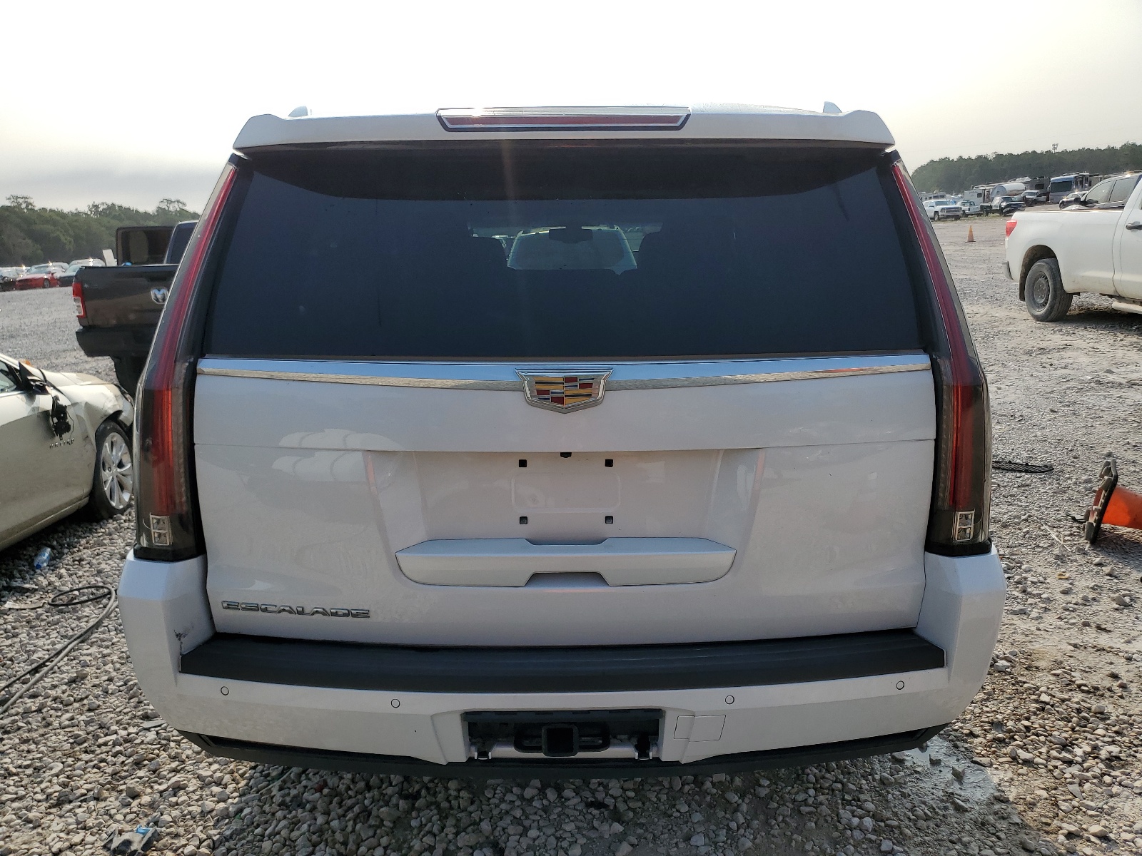 1GYS3GKJ8LR210743 2020 Cadillac Escalade Esv