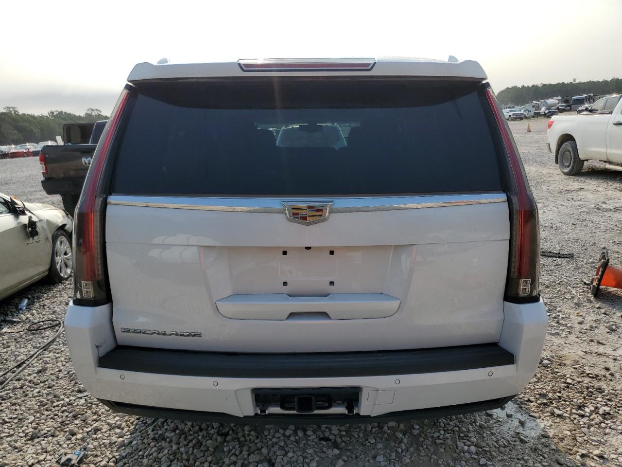 2020 Cadillac Escalade Esv VIN: 1GYS3GKJ8LR210743 Lot: 54913094