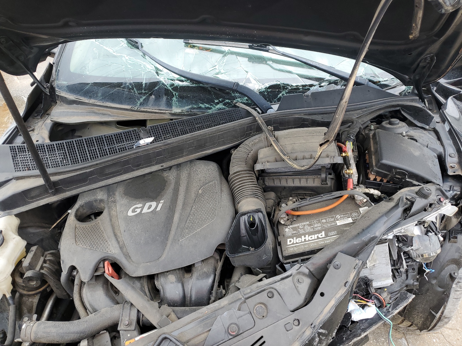 5XXGN4A72DG230534 2013 Kia Optima Ex