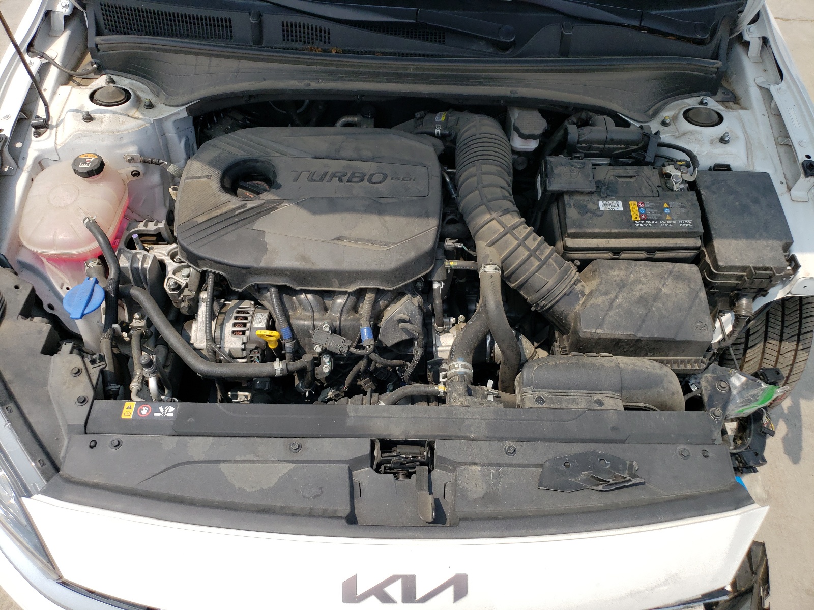 3KPF44AC6NE457022 2022 Kia Forte Gt