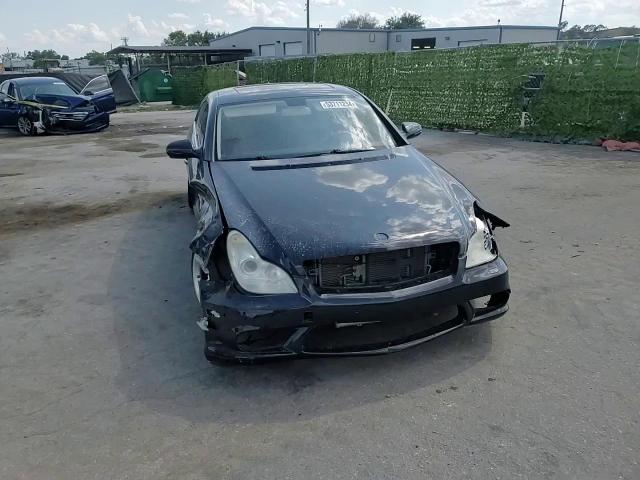 2010 Mercedes-Benz Cls 550 VIN: WDDDJ7CB7AA161385 Lot: 53711234