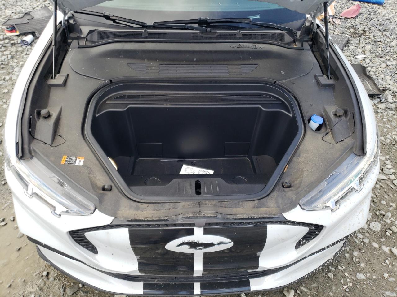 2022 Ford Mustang Mach-E Select VIN: 3FMTK1RM4NMA58423 Lot: 56810734