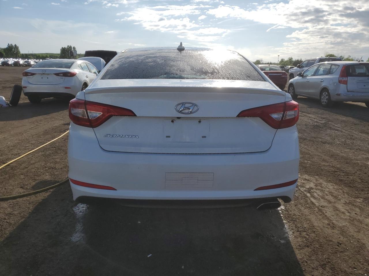 2015 Hyundai Sonata Se VIN: 5NPE24AF0FH142614 Lot: 56749024