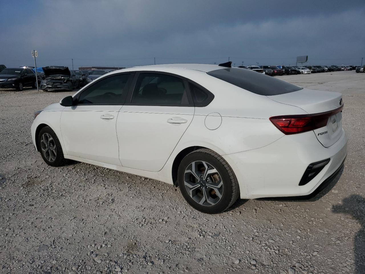 2020 Kia Forte Fe VIN: 3KPF24AD6LE214810 Lot: 54051704