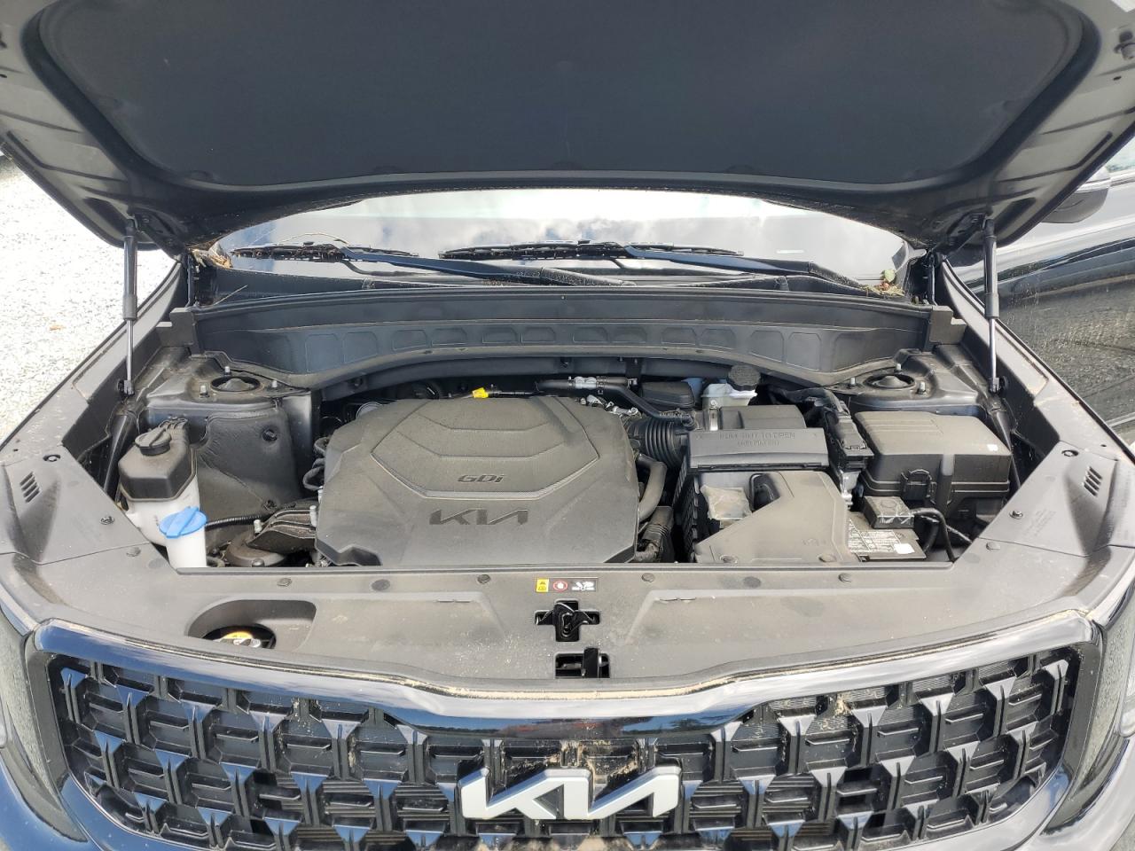 2024 Kia Telluride Ex VIN: 5XYP3DGC6RG446545 Lot: 55420754