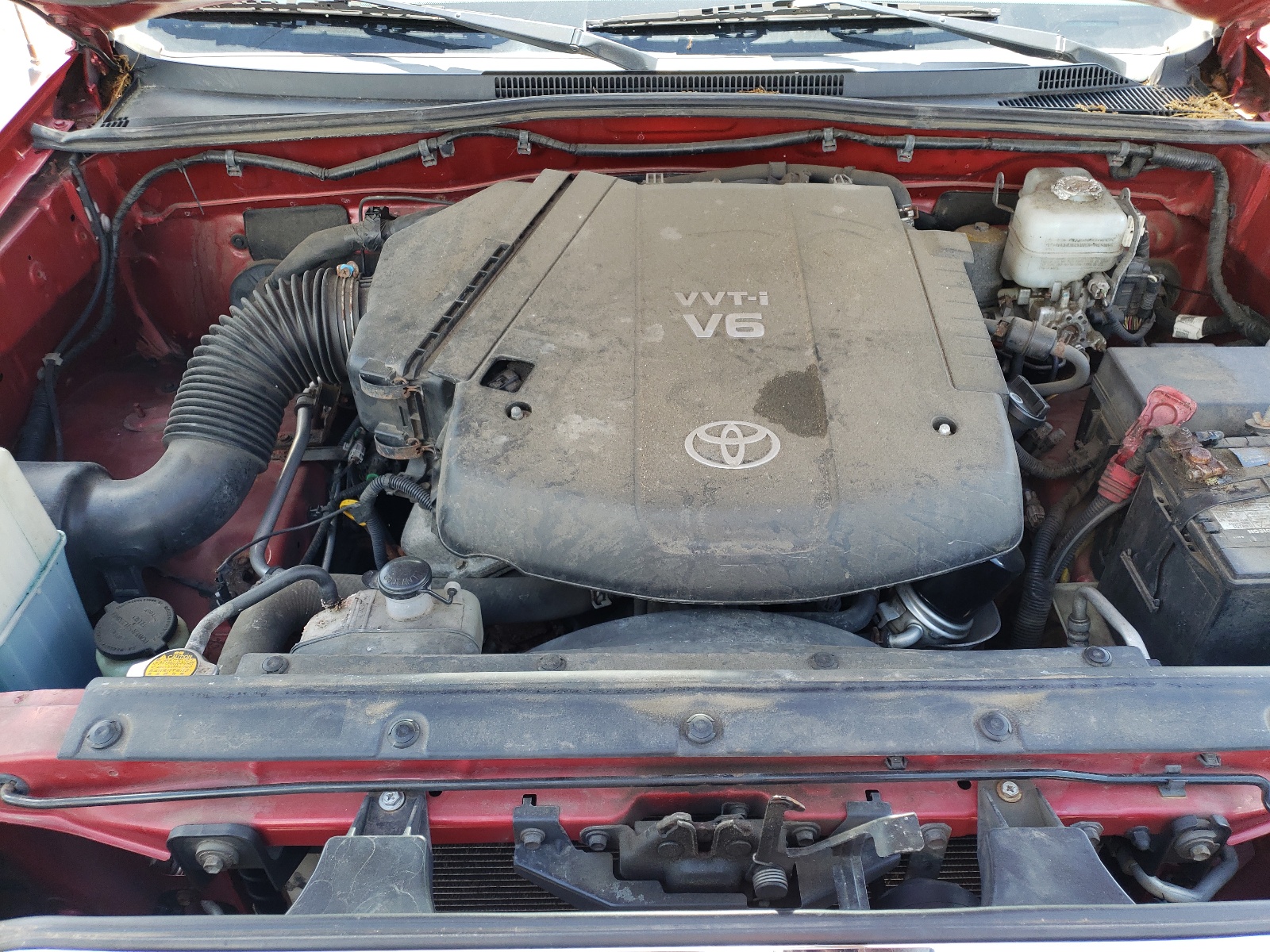 3TMLU4EN3AM044019 2010 Toyota Tacoma Double Cab