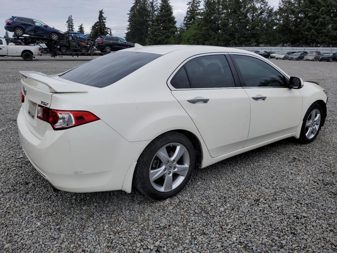 2010 Acura Tsx VIN: JH4CU2F61AC037324 Lot: 55933274
