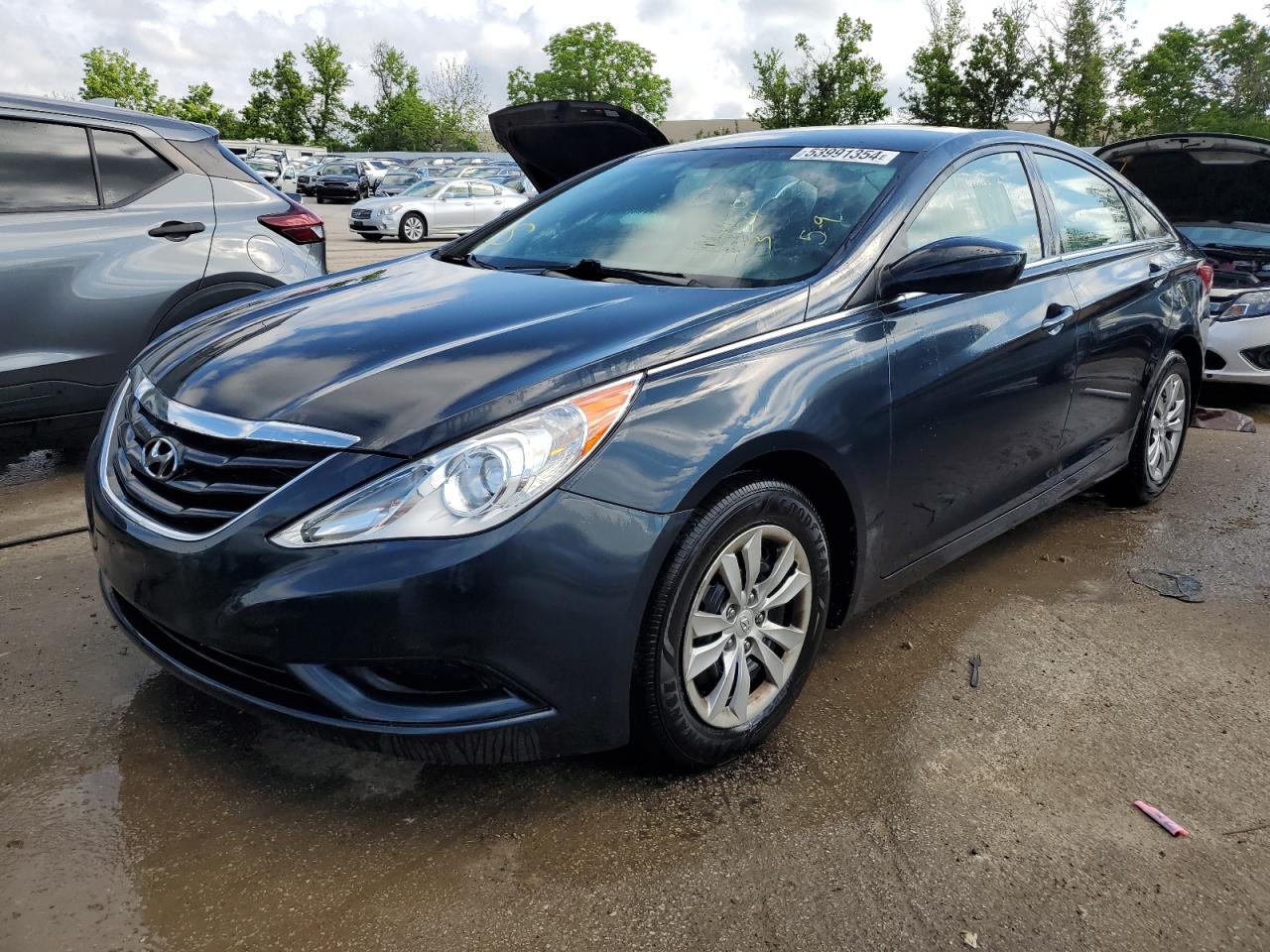 2011 Hyundai Sonata Gls VIN: 5NPEB4AC1BH174553 Lot: 53991354