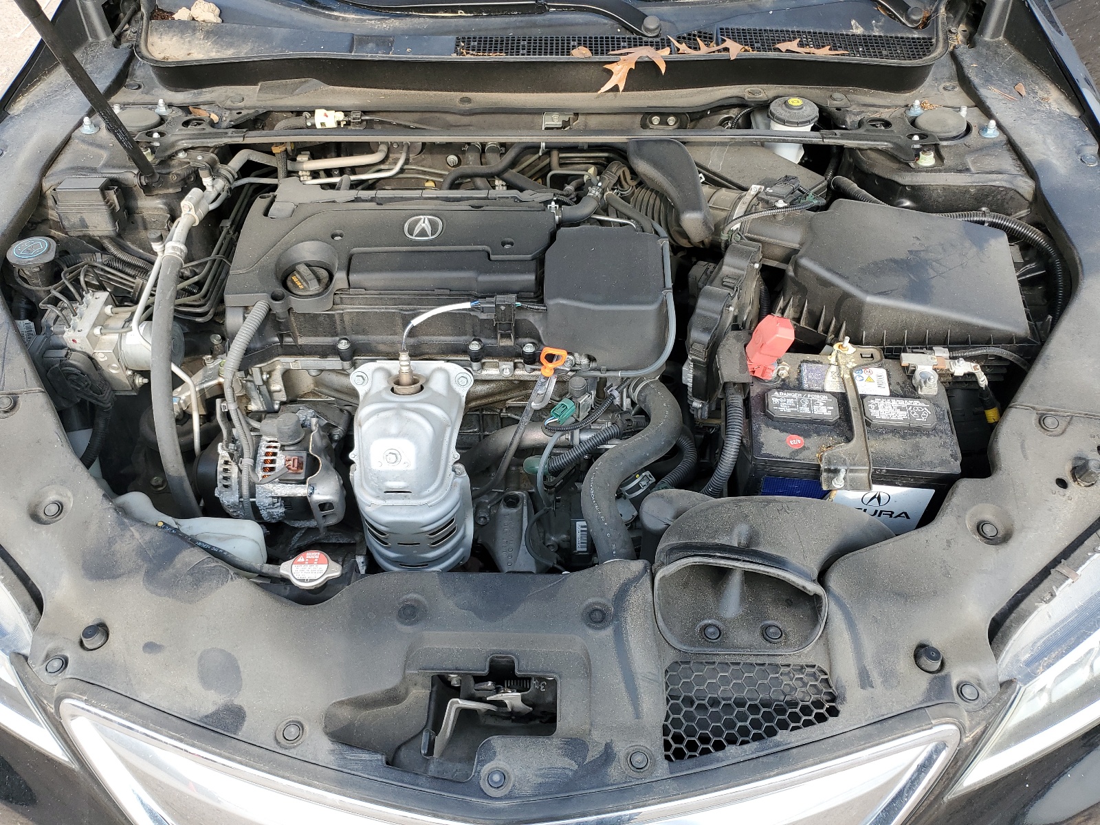 19UUB1F39FA020755 2015 Acura Tlx