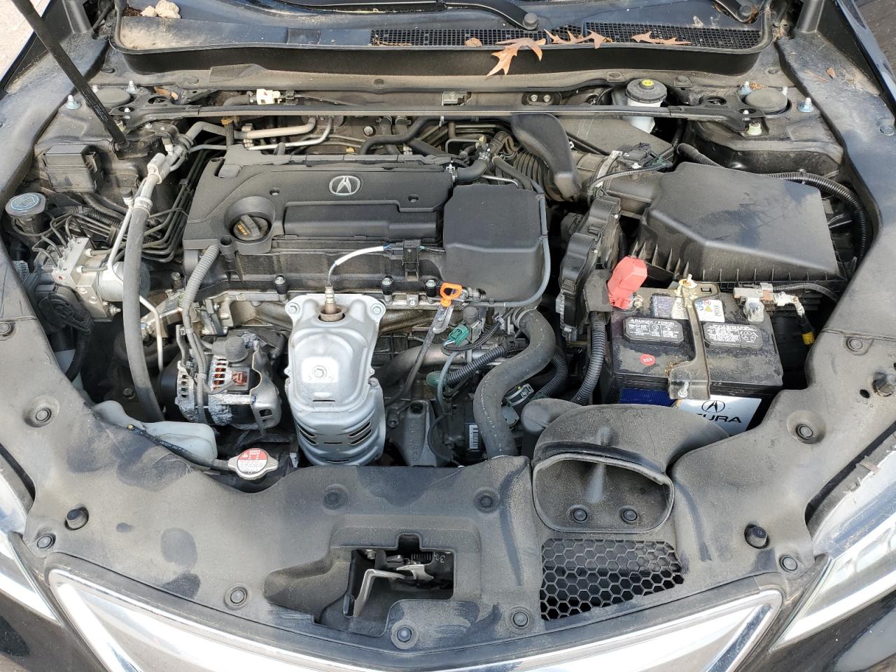 2015 Acura Tlx VIN: 19UUB1F39FA020755 Lot: 53265814