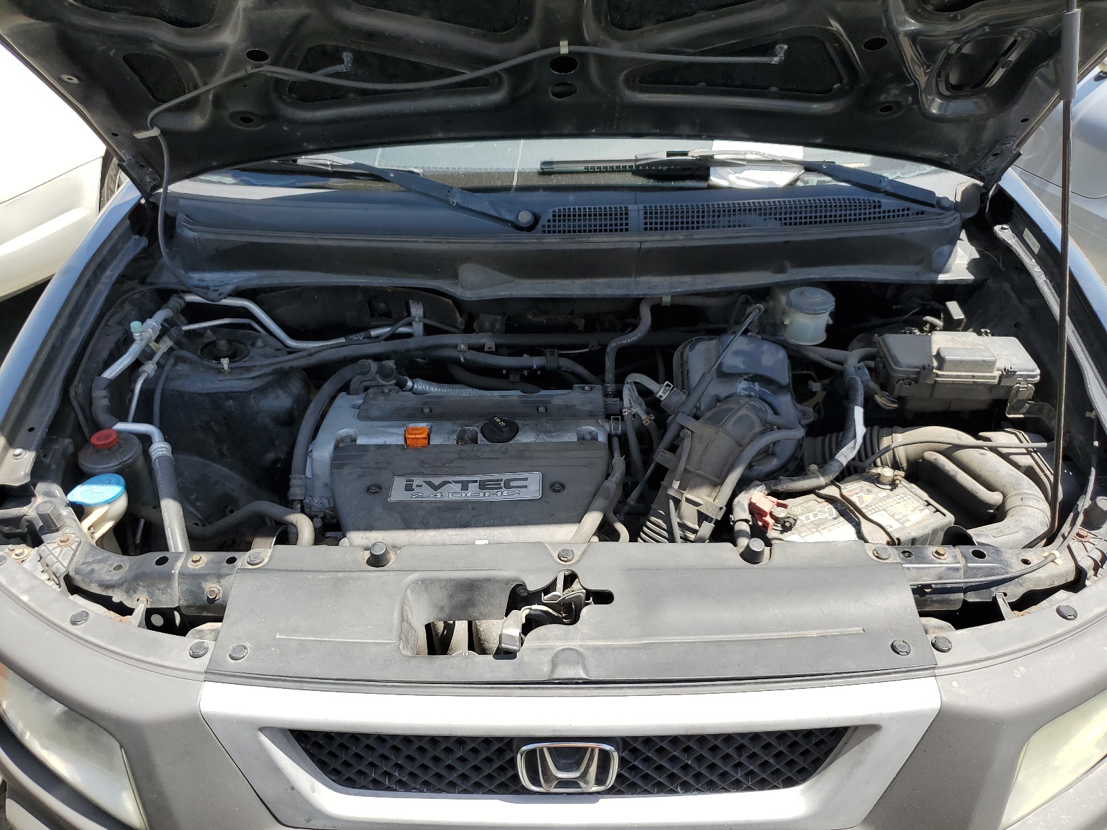 5J6YH28263L008405 2003 Honda Element Dx