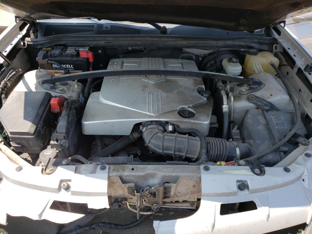 2008 Cadillac Srx VIN: 1GYEE637680107725 Lot: 53952444