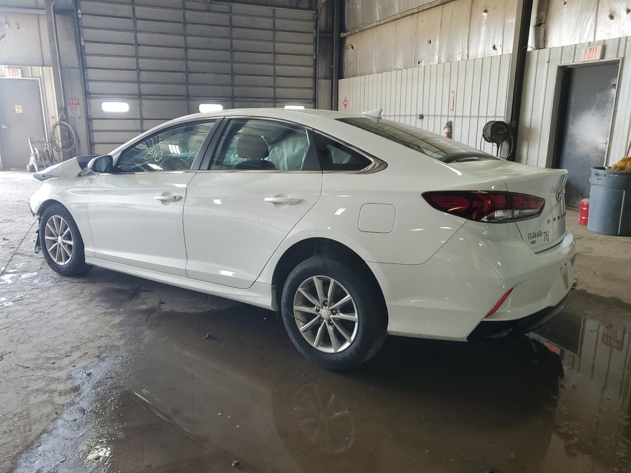 2019 Hyundai Sonata Se VIN: 5NPE24AF4KH756673 Lot: 53769334