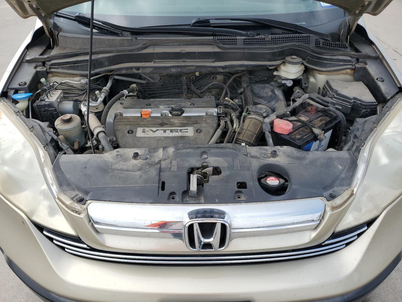 2007 Honda Cr-V Ex VIN: JHLRE38527C016058 Lot: 53864074