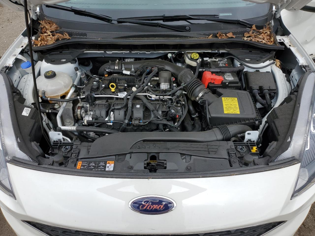 2022 Ford Escape Sel VIN: 1FMCU9H97NUB43483 Lot: 55346354