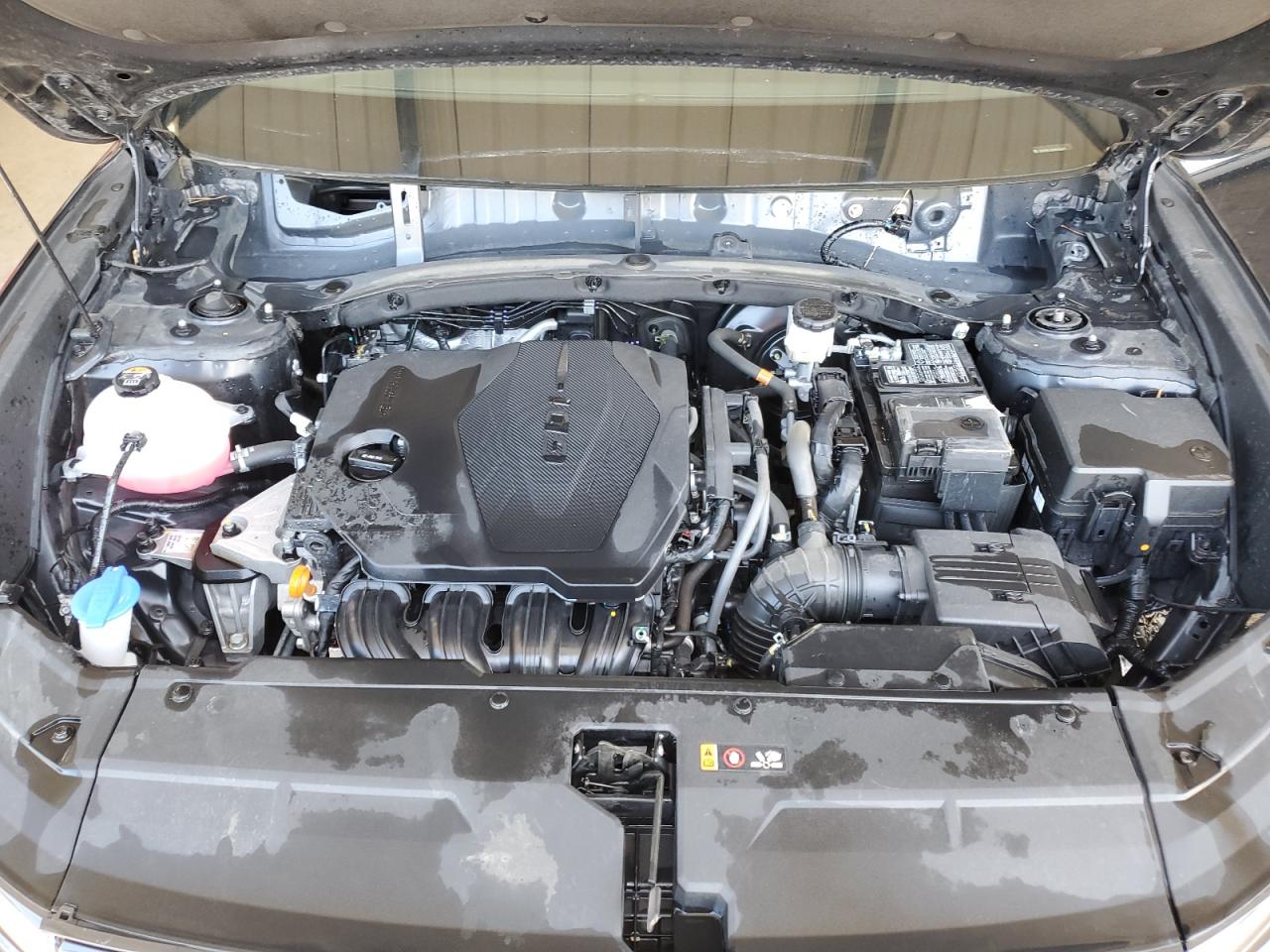 2023 Hyundai Tucson Sel VIN: 5NMJBCAE4PH216647 Lot: 56559564