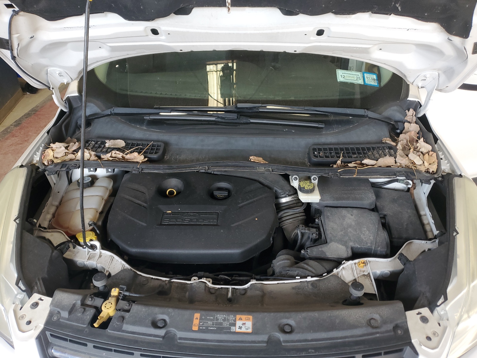 1FMCU9G95DUC29858 2013 Ford Escape Se