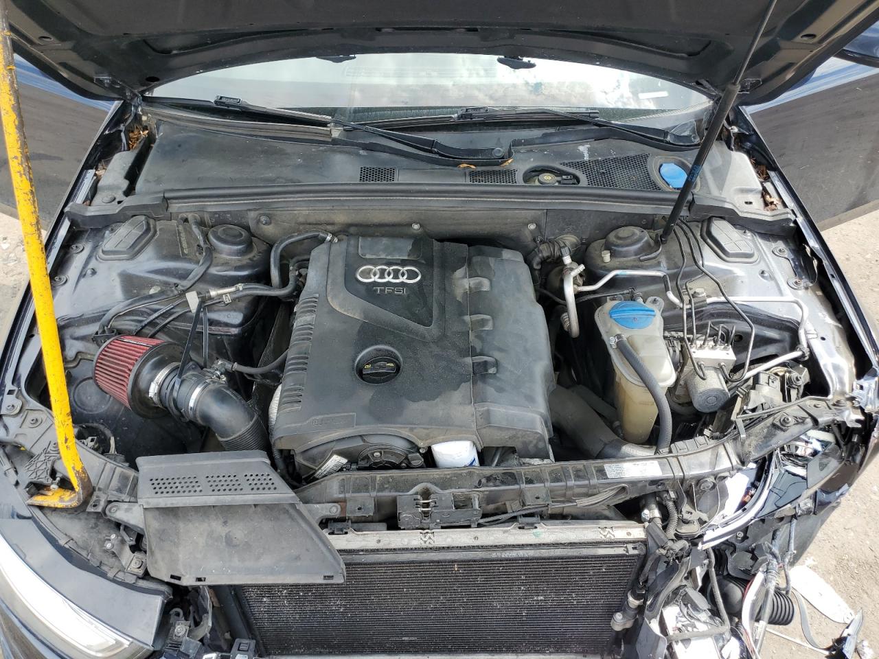 2014 Audi A4 Premium Plus VIN: WAUFFAFL6EN005419 Lot: 56216794