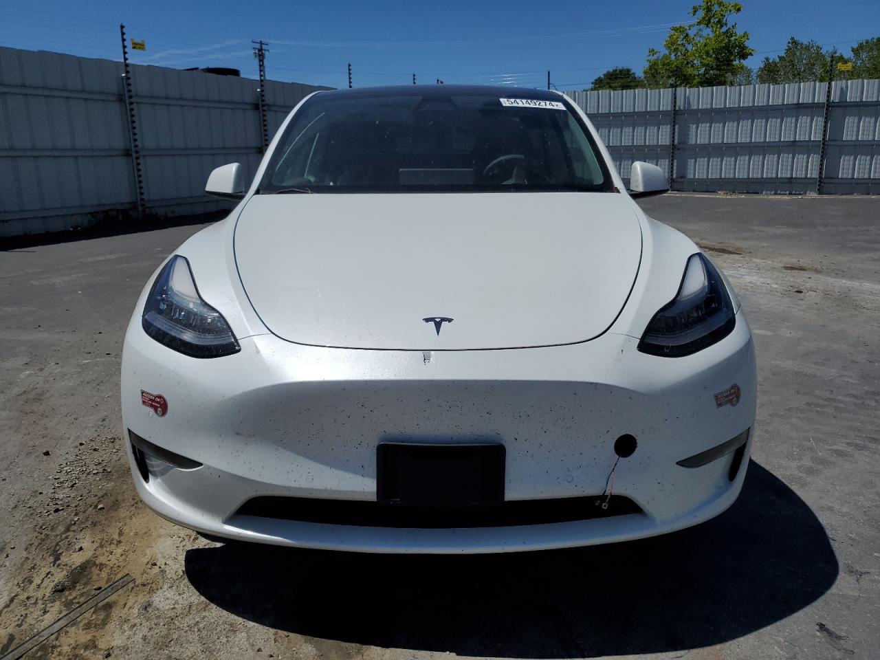 2022 Tesla Model Y VIN: 7SAYGAEE1NF489173 Lot: 54149274