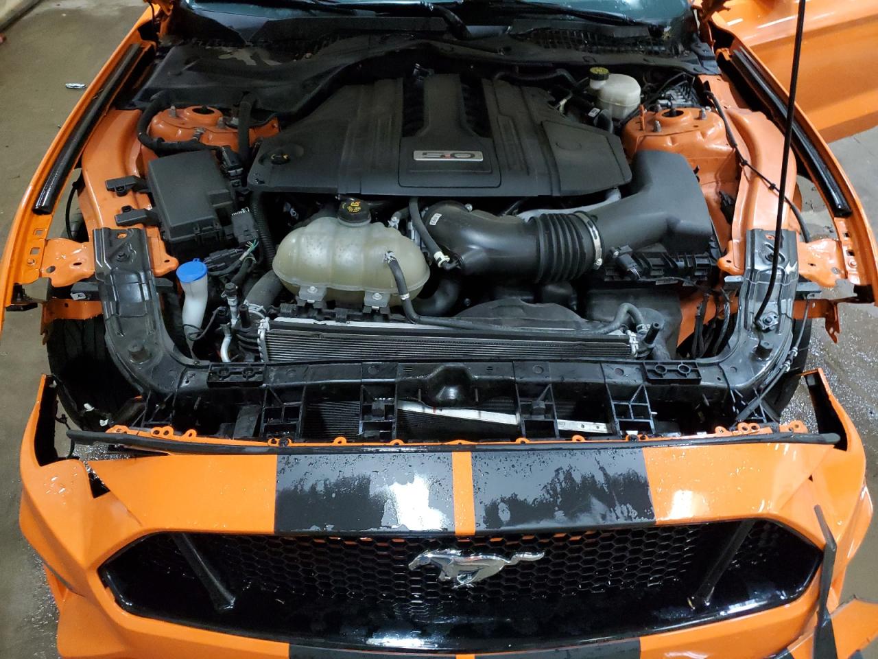 2021 Ford Mustang Gt VIN: 1FA6P8CF0M5112381 Lot: 54014664