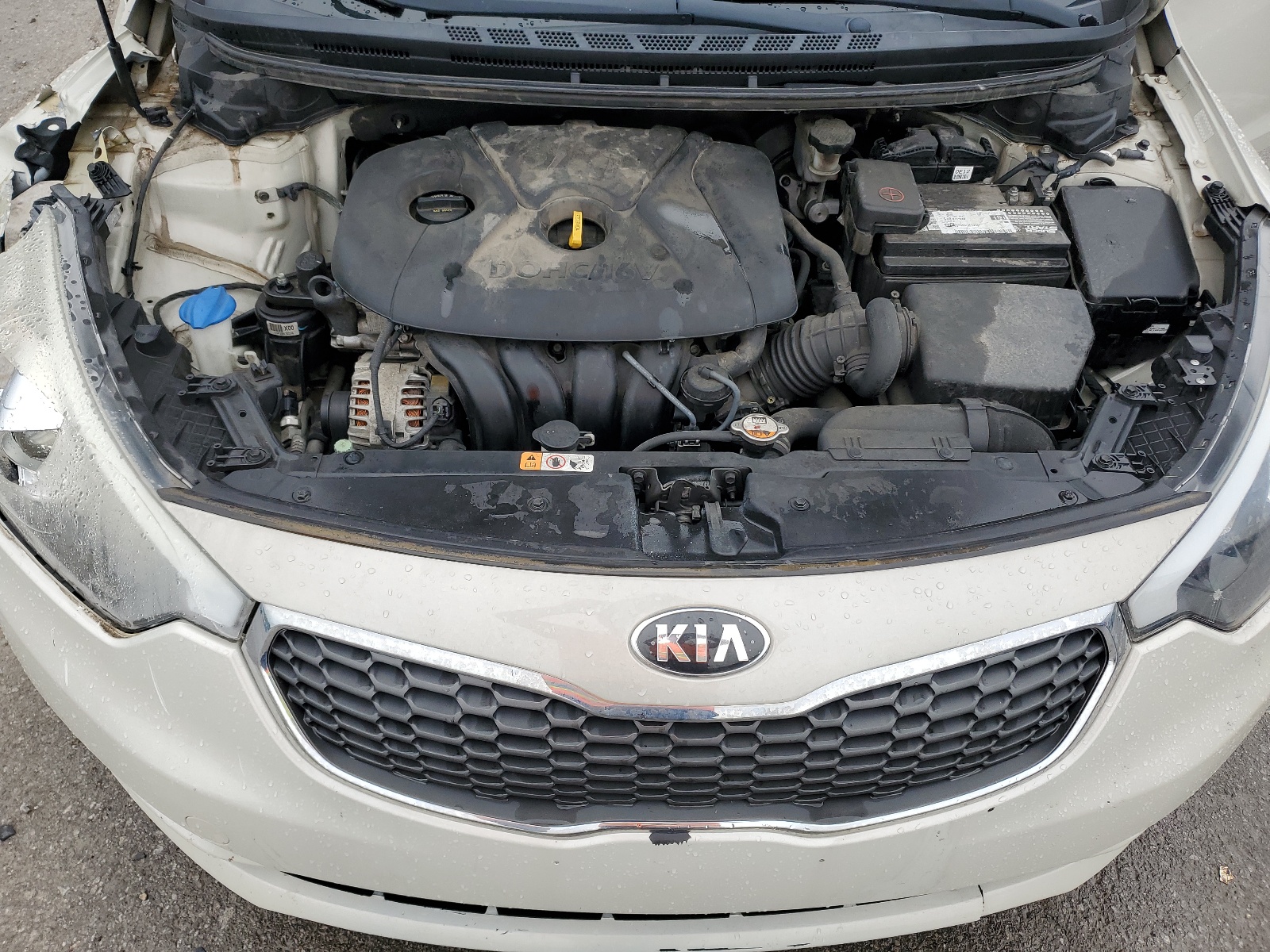 2015 Kia Forte Lx vin: KNAFK4A69F5295896