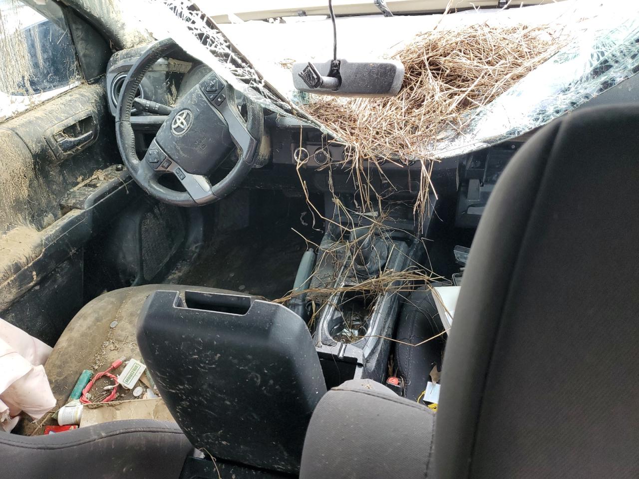 2017 Toyota Tacoma Double Cab VIN: 5TFCZ5AN2HX089230 Lot: 53353234