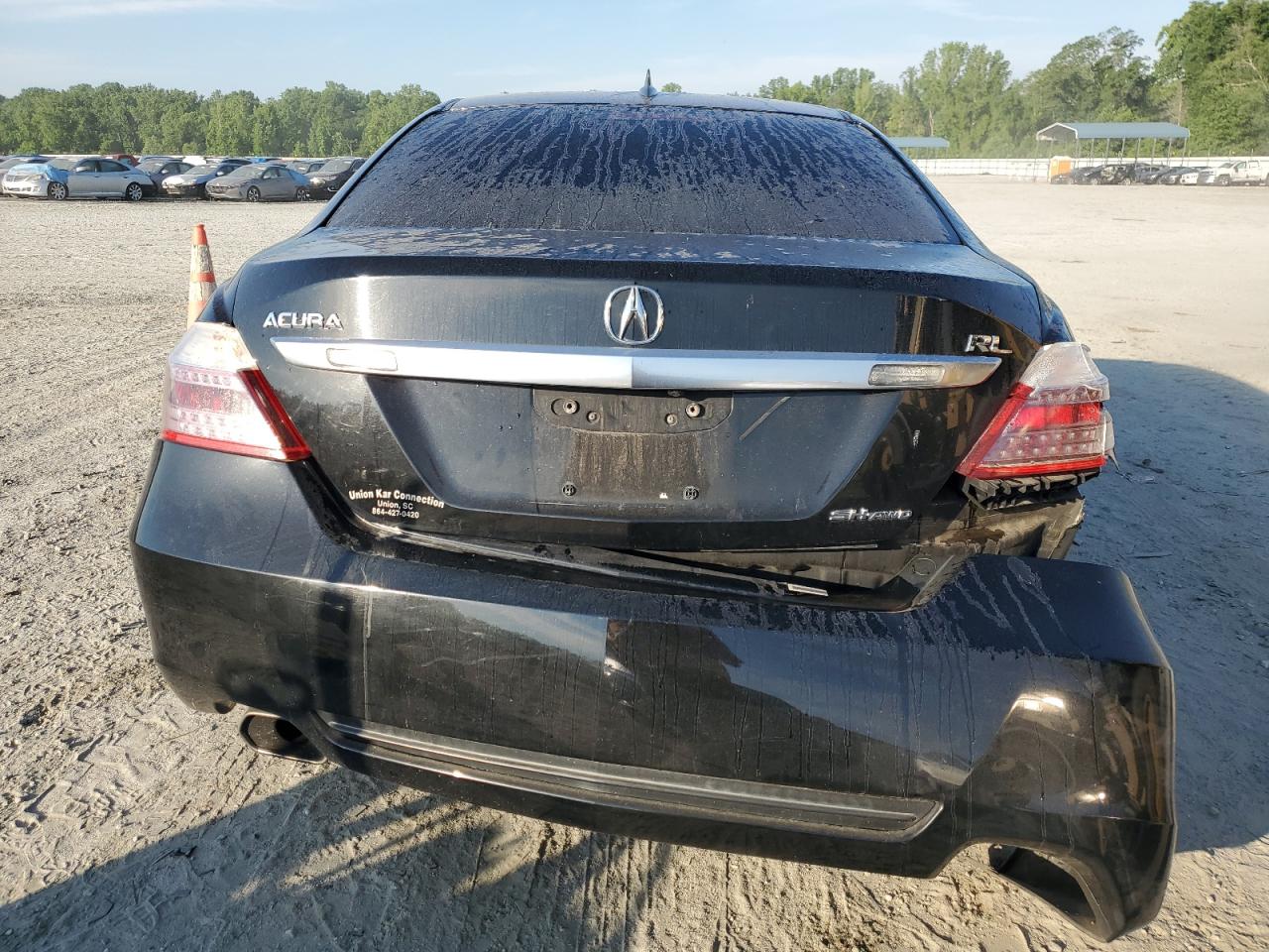 2009 Acura Rl VIN: JH4KB266X9C001600 Lot: 55125784