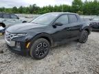 2024 Hyundai Santa Cruz Sel de vânzare în Memphis, TN - Side