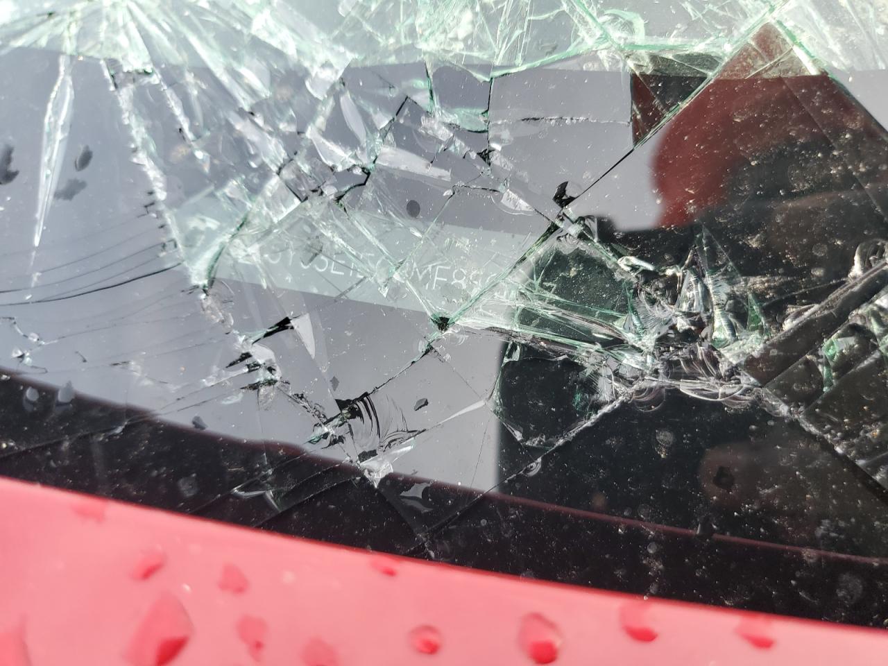 2021 Tesla Model 3 VIN: 5YJ3E1EC8MF850697 Lot: 53929514