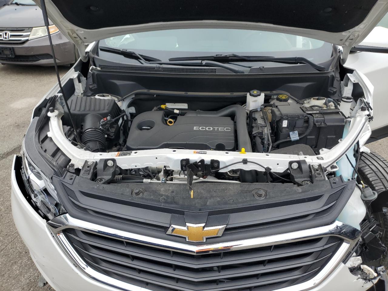 2019 Chevrolet Equinox Lt VIN: 2GNAXKEV8K6231942 Lot: 53485104