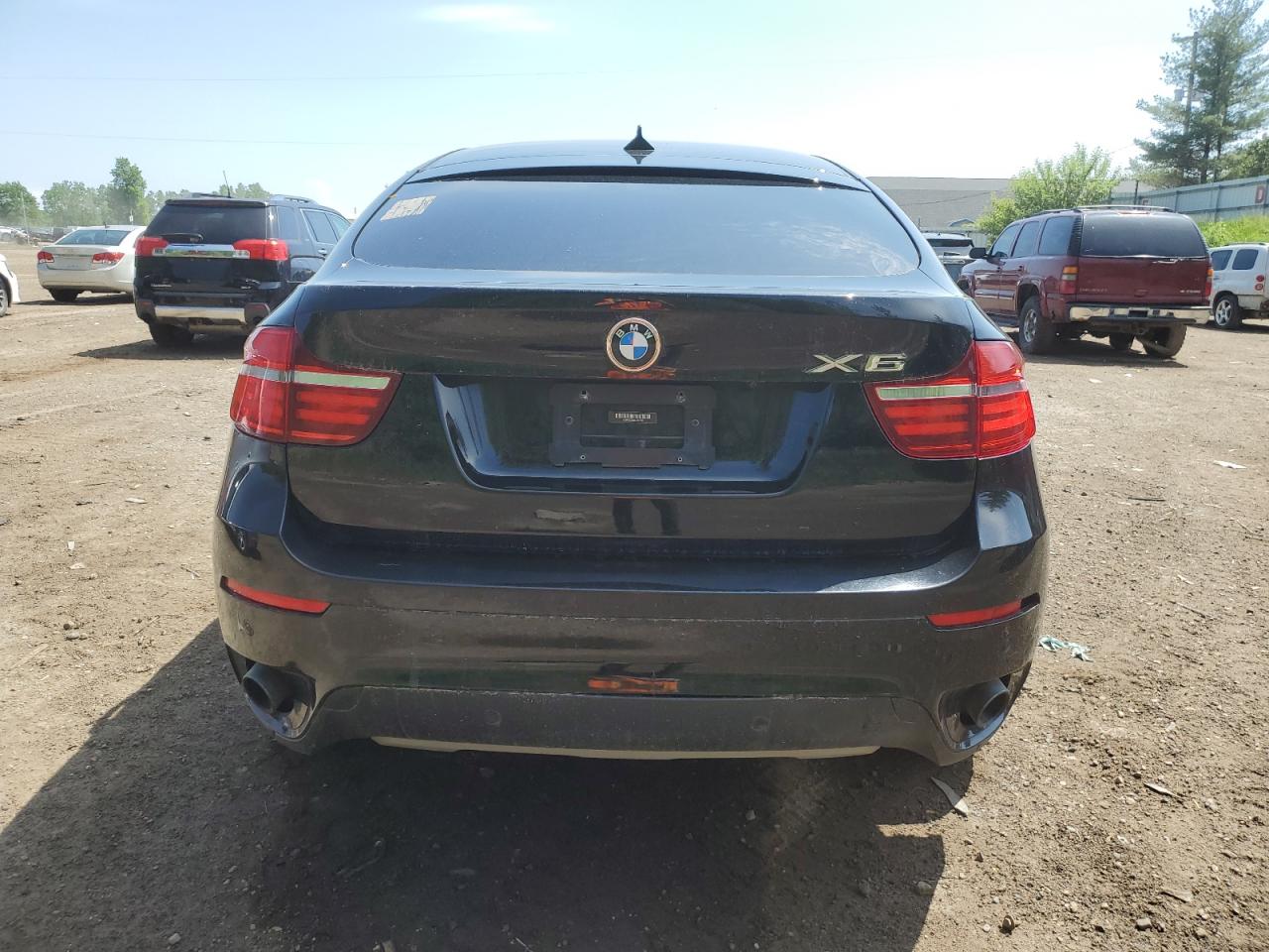 2013 BMW X6 xDrive35I VIN: 5UXFG2C58DL784746 Lot: 54922474