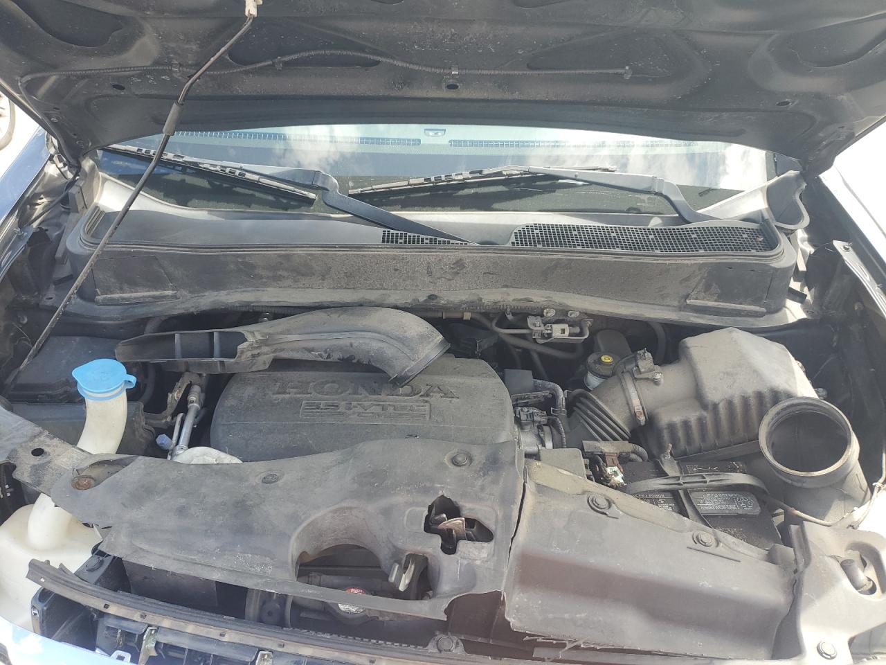 2014 Honda Pilot Exln VIN: 5FNYF4H70EB043692 Lot: 54557904